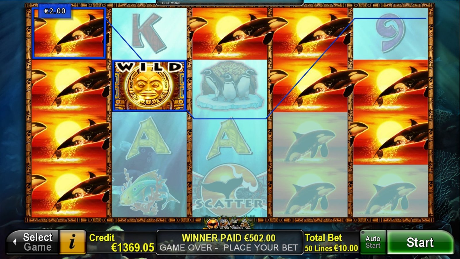Orca_BigWin